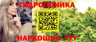 стафф Моздок