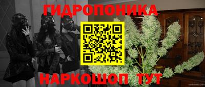 стафф Моздок