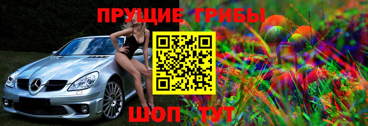 Псилоцибиновые грибы ЛСД  купить наркотики сайты  Мегион  Вход с VPN  Галлюциногенные грибы Psilocybe 